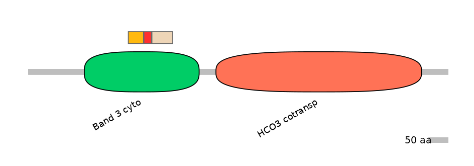 HsaEX6054822-INC