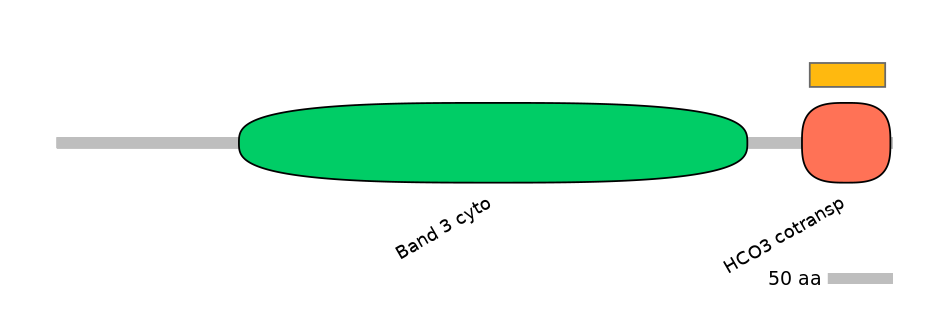HsaEX6054825-EXC