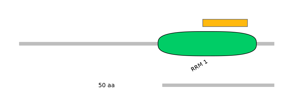 HsaEX6054847-EXC