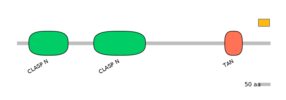 HsaEX6054946-EXC