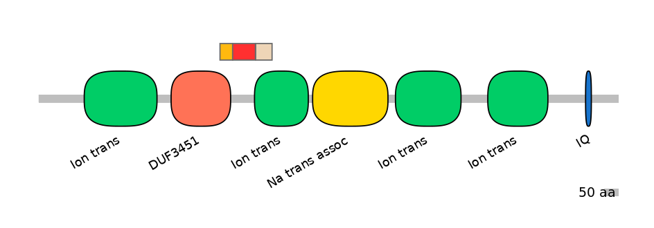 HsaEX6055149-INC