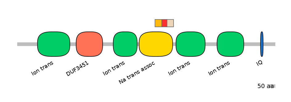 HsaEX6055152-INC