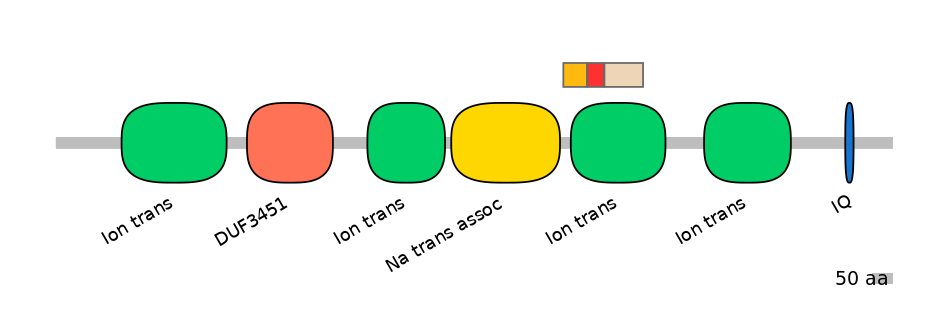 HsaEX6055155-INC