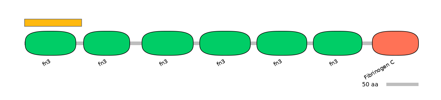 HsaEX6062710-EXC