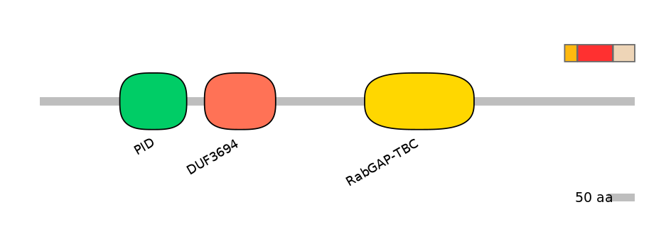 HsaEX6062906-INC