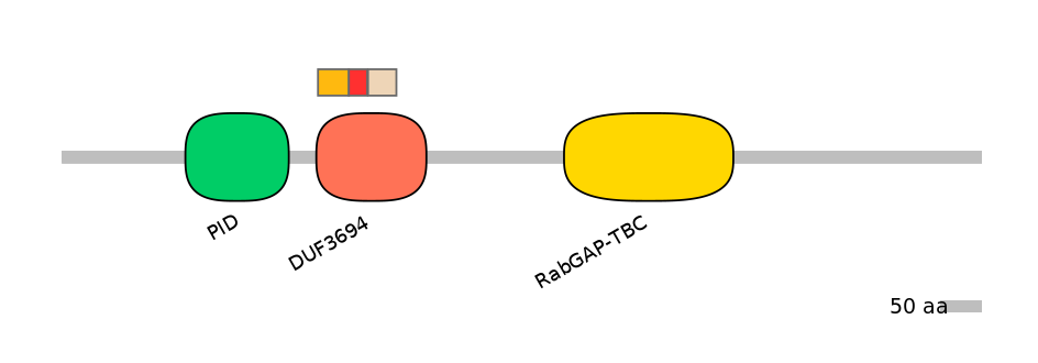 HsaEX6062919-INC
