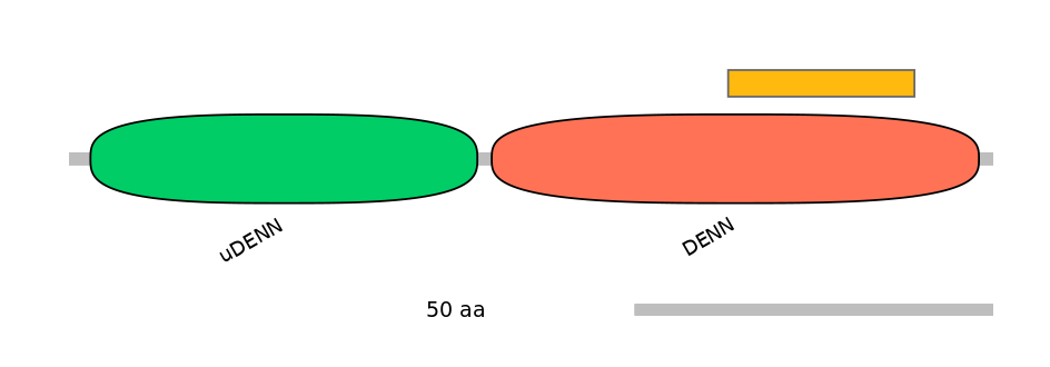 HsaEX6062942-EXC
