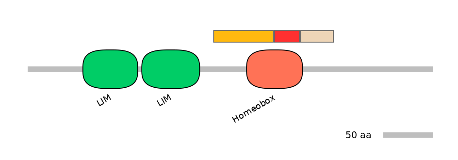 HsaEX6063061-INC