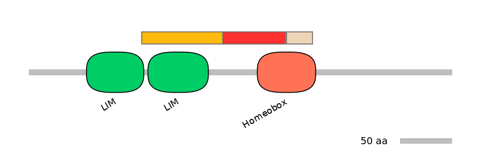 HsaEX6063062-INC