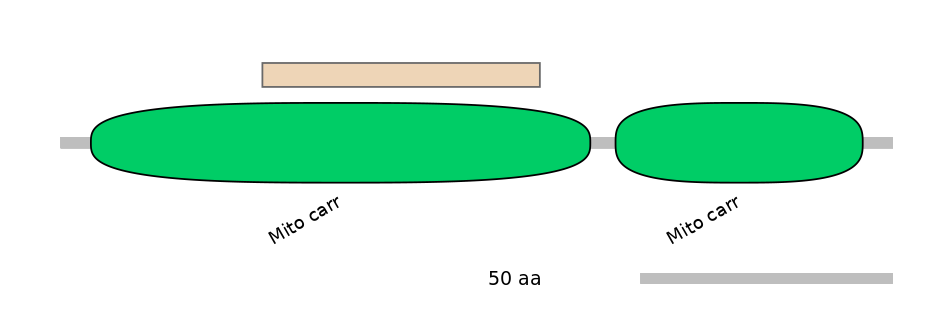 HsaEX6063164-EXC