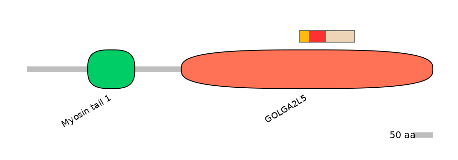 HsaEX6063207-INC