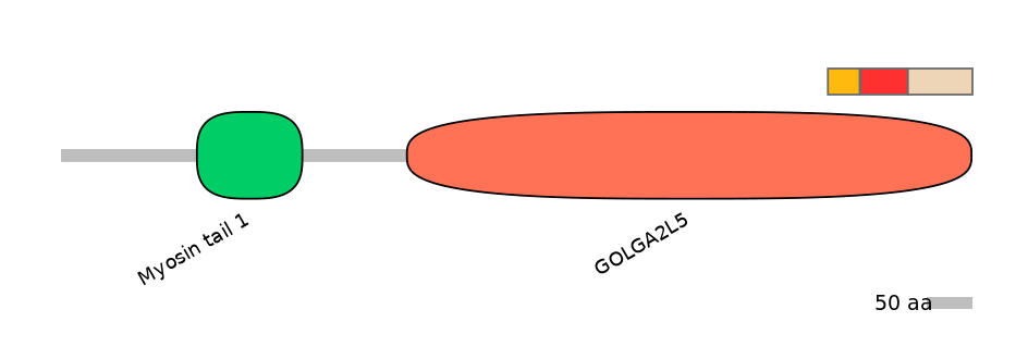 HsaEX6063211-INC