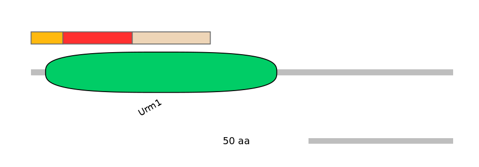 HsaEX6063230-INC