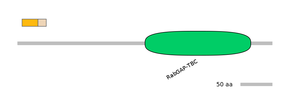 HsaEX6063348-EXC