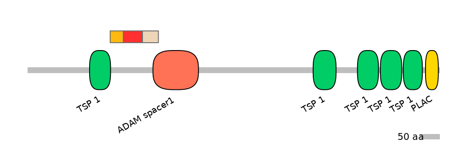 HsaEX6063775-INC