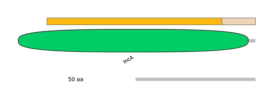 HsaEX6063905-EXC