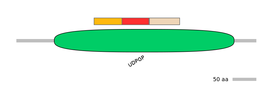 HsaEX6064194-INC