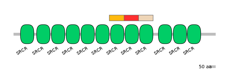 HsaEX6064965-INC
