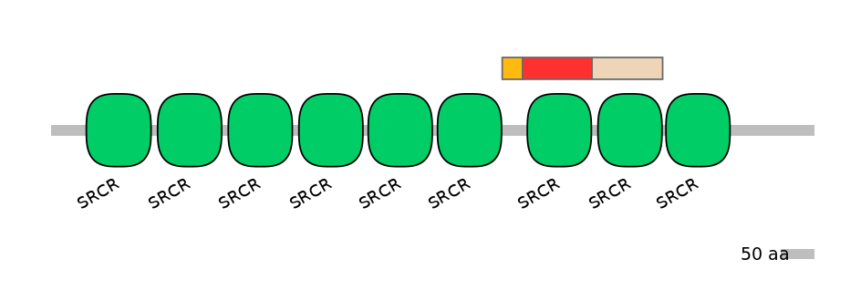 HsaEX6064981-INC
