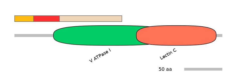 HsaEX6065158-INC