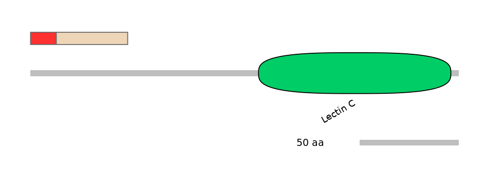 HsaEX6065165-INC