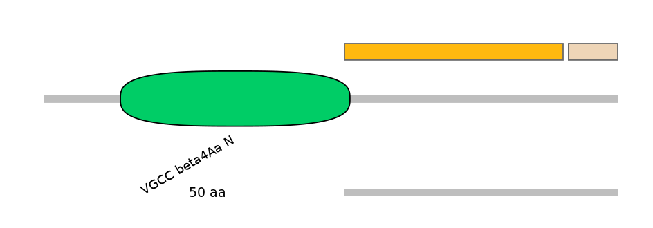 HsaEX6066280-EXC