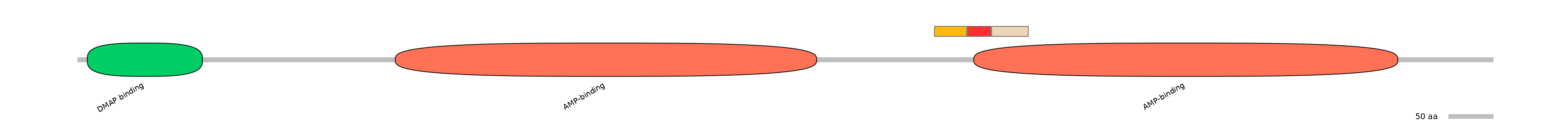 HsaEX6066505-INC