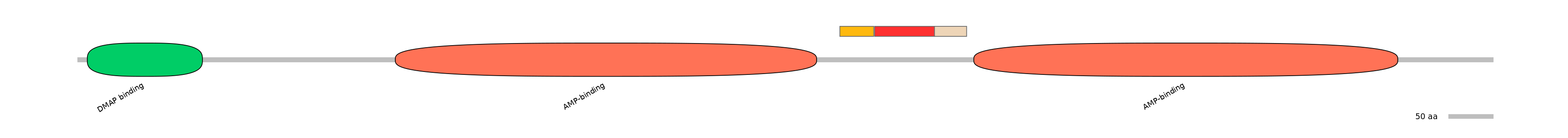 HsaEX6066507-INC