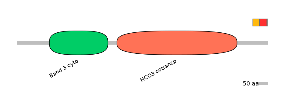 HsaEX6066565-INC