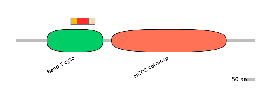 HsaEX6066570-INC