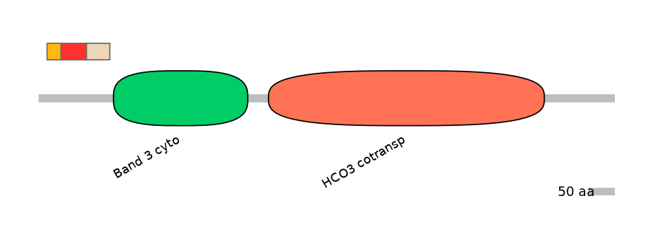 HsaEX6066575-INC