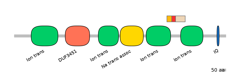 HsaEX6066578-INC