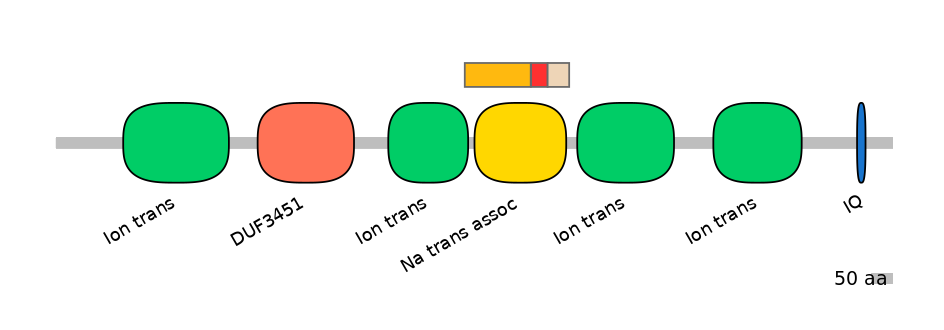 HsaEX6066583-INC