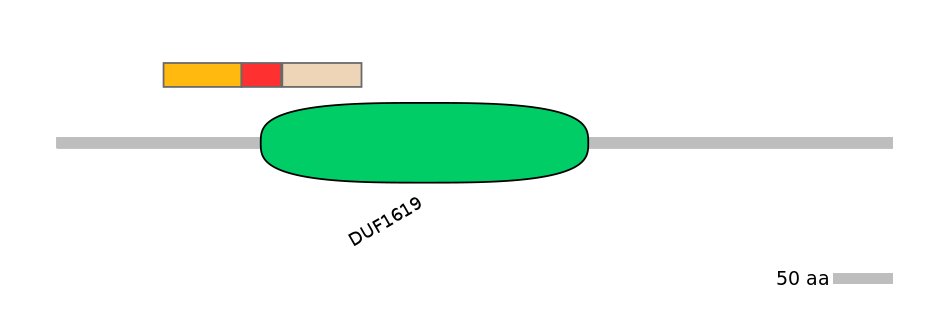 HsaEX6069902-INC
