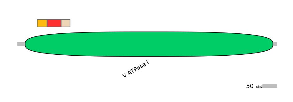 HsaEX6069914-INC