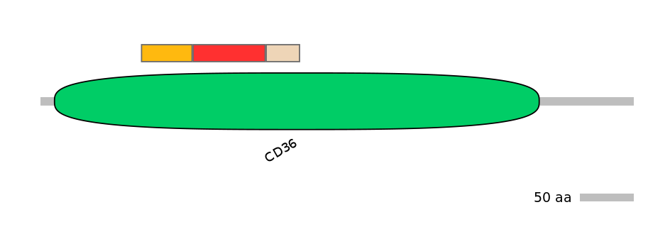 HsaEX6070016-INC