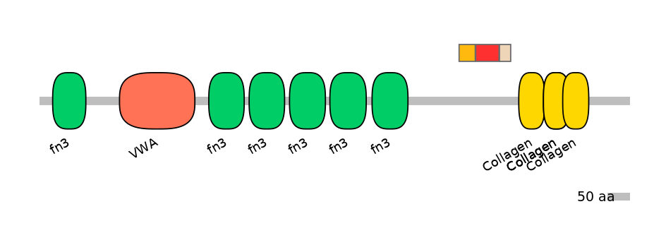 HsaEX6079162-INC