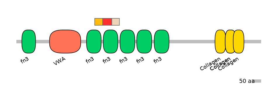 HsaEX6079172-INC
