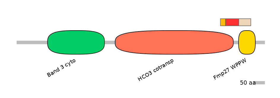 HsaEX6084747-INC
