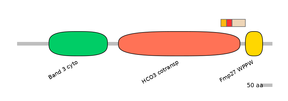 HsaEX6084748-INC