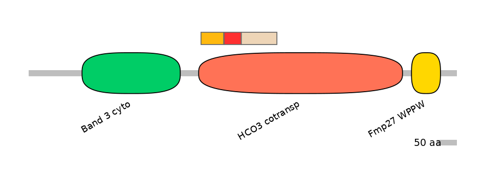 HsaEX6084751-INC