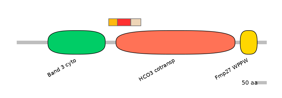 HsaEX6084752-INC