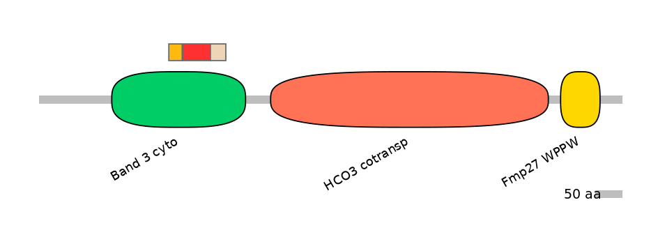 HsaEX6084756-INC