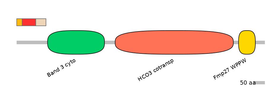 HsaEX6084760-INC