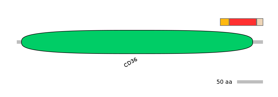 HsaEX6084937-INC