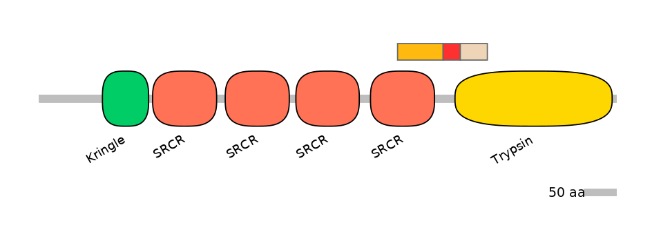 HsaEX6085945-INC