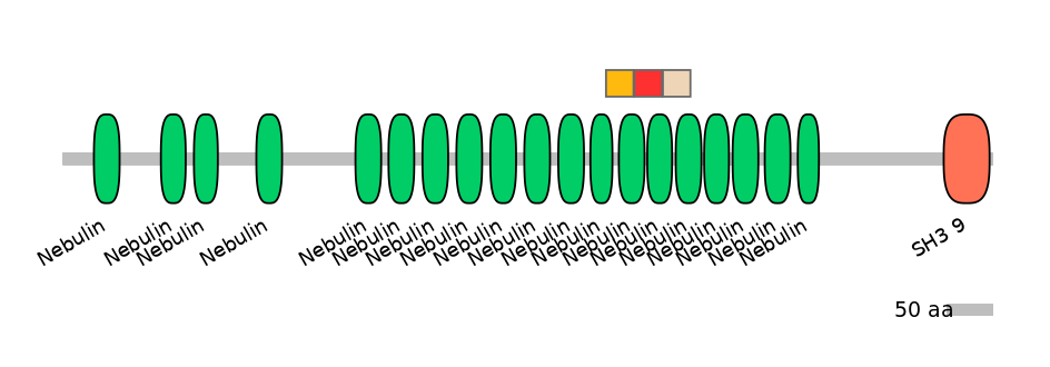 HsaEX6087795-INC