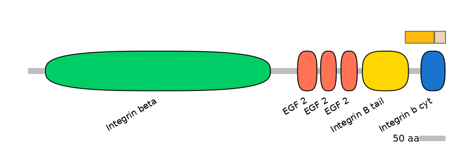 HsaEX6088113-EXC