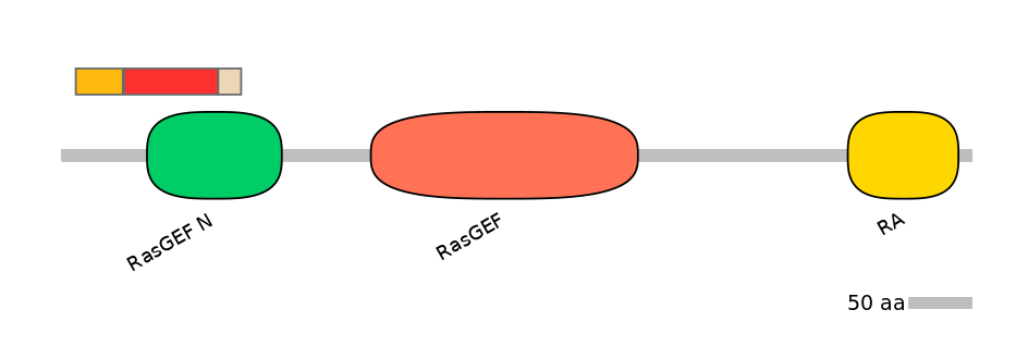 HsaEX6093067-INC