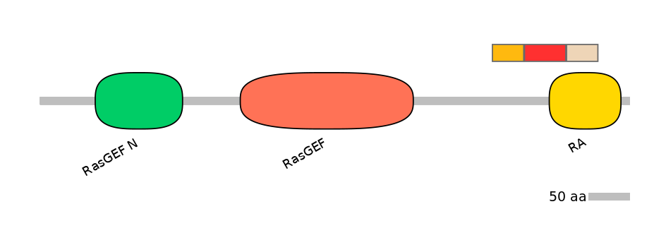 HsaEX6093073-INC